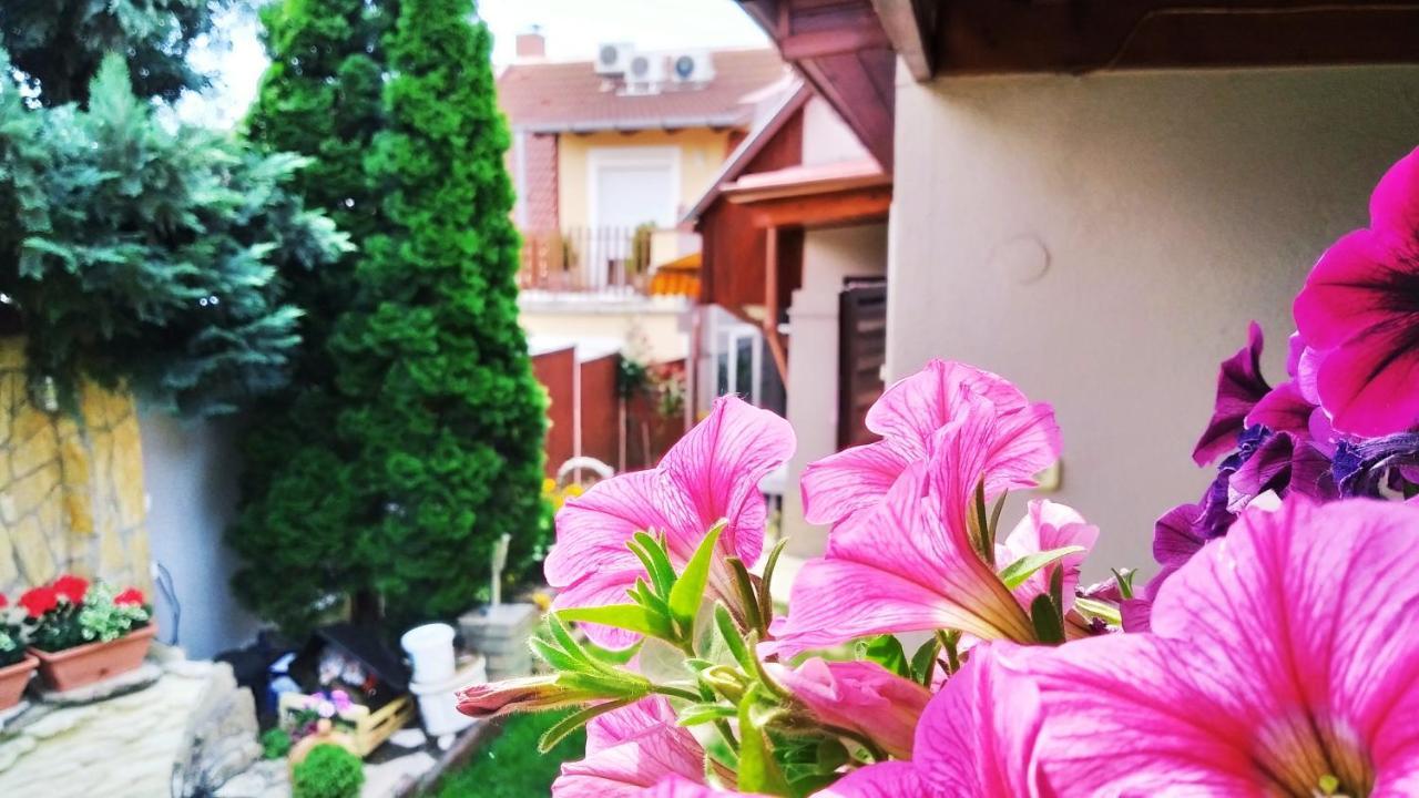 Csobogo Vendeghaz Appartement Eger Buitenkant foto
