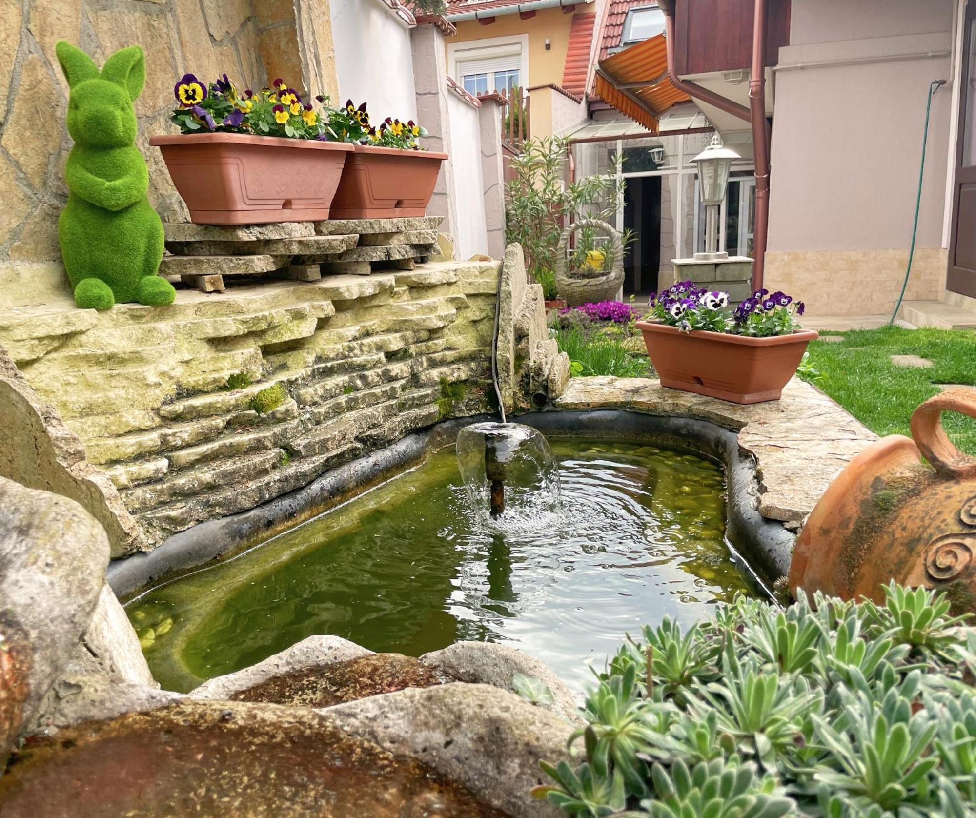 Csobogo Vendeghaz Appartement Eger Buitenkant foto